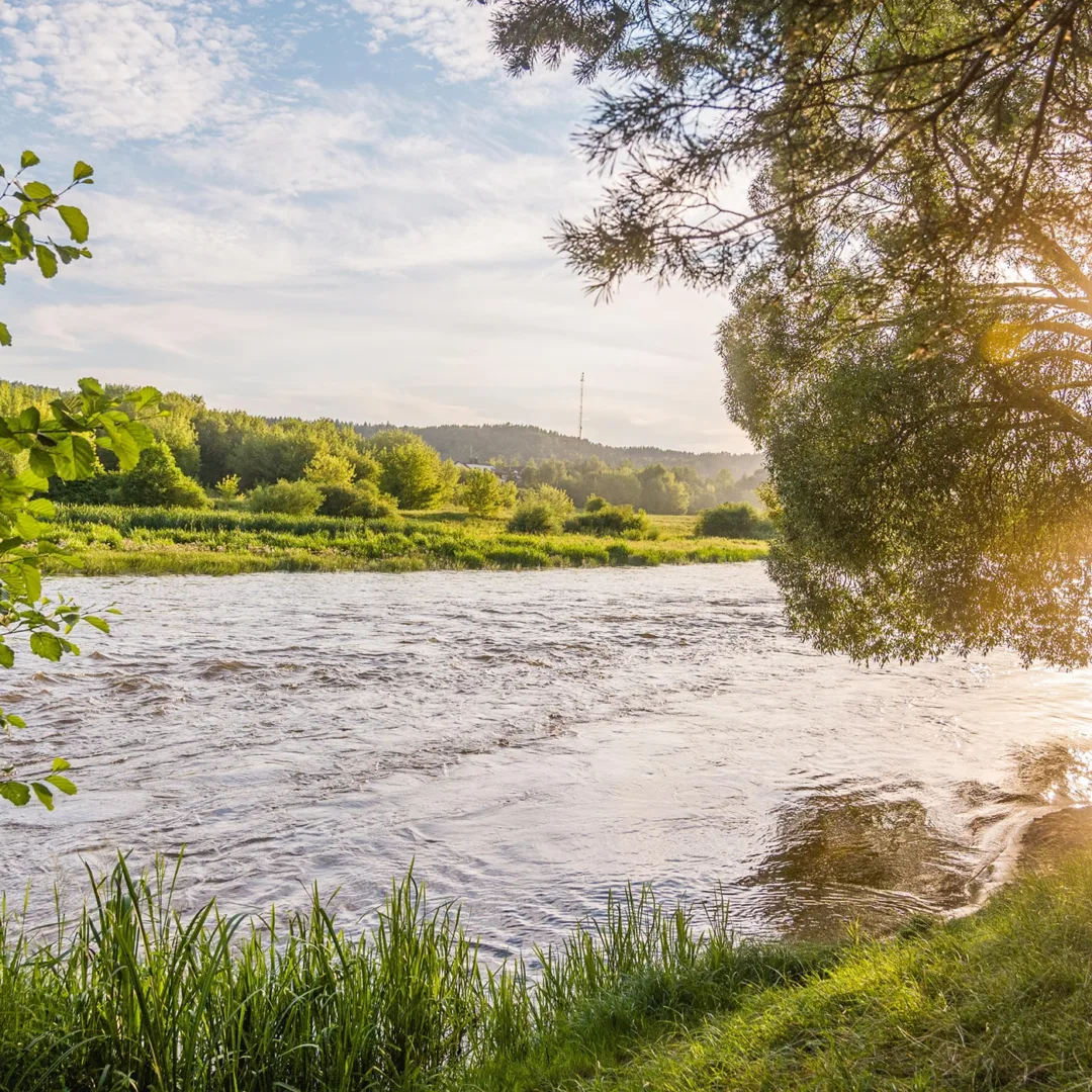 Įstabios Bukčių miško parko mįslės – atsakymai glūdi praėjusio amžiaus istorijoje