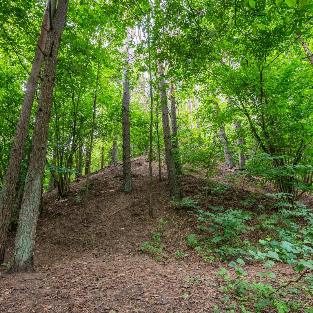 Atraskite įdomias vietoves
