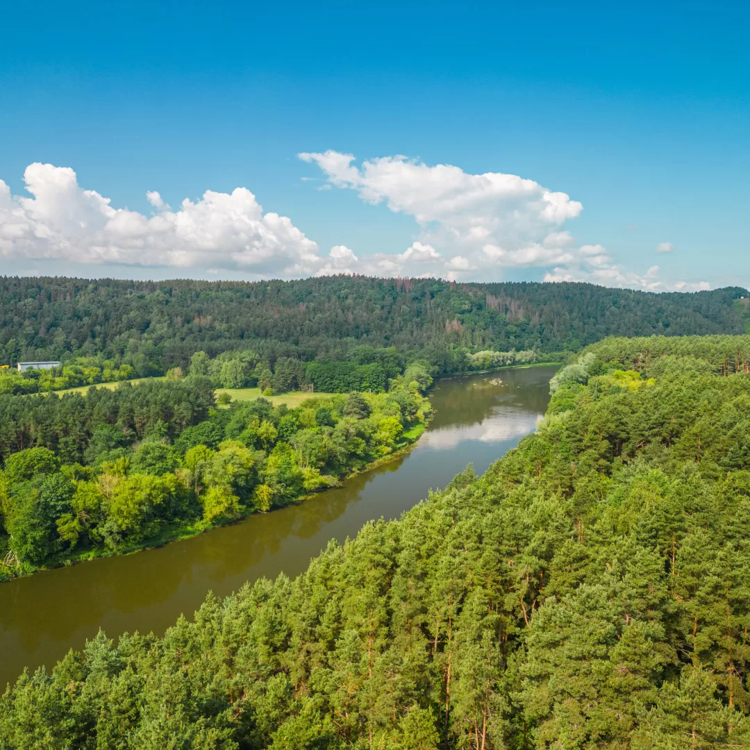 Kuo ypatingi buvo Bukčiai – gyventojų salos miškų tankmėje?