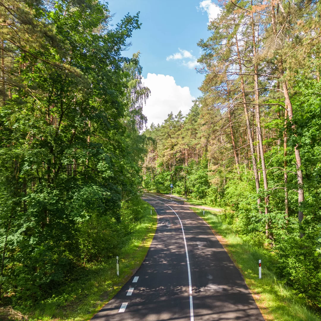 Bukčių miško parkas