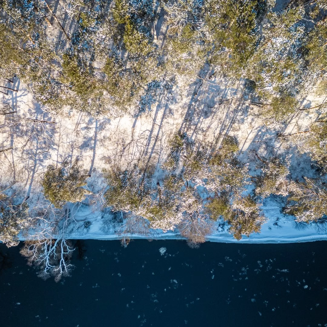 Bukčių miško parkas žiemą