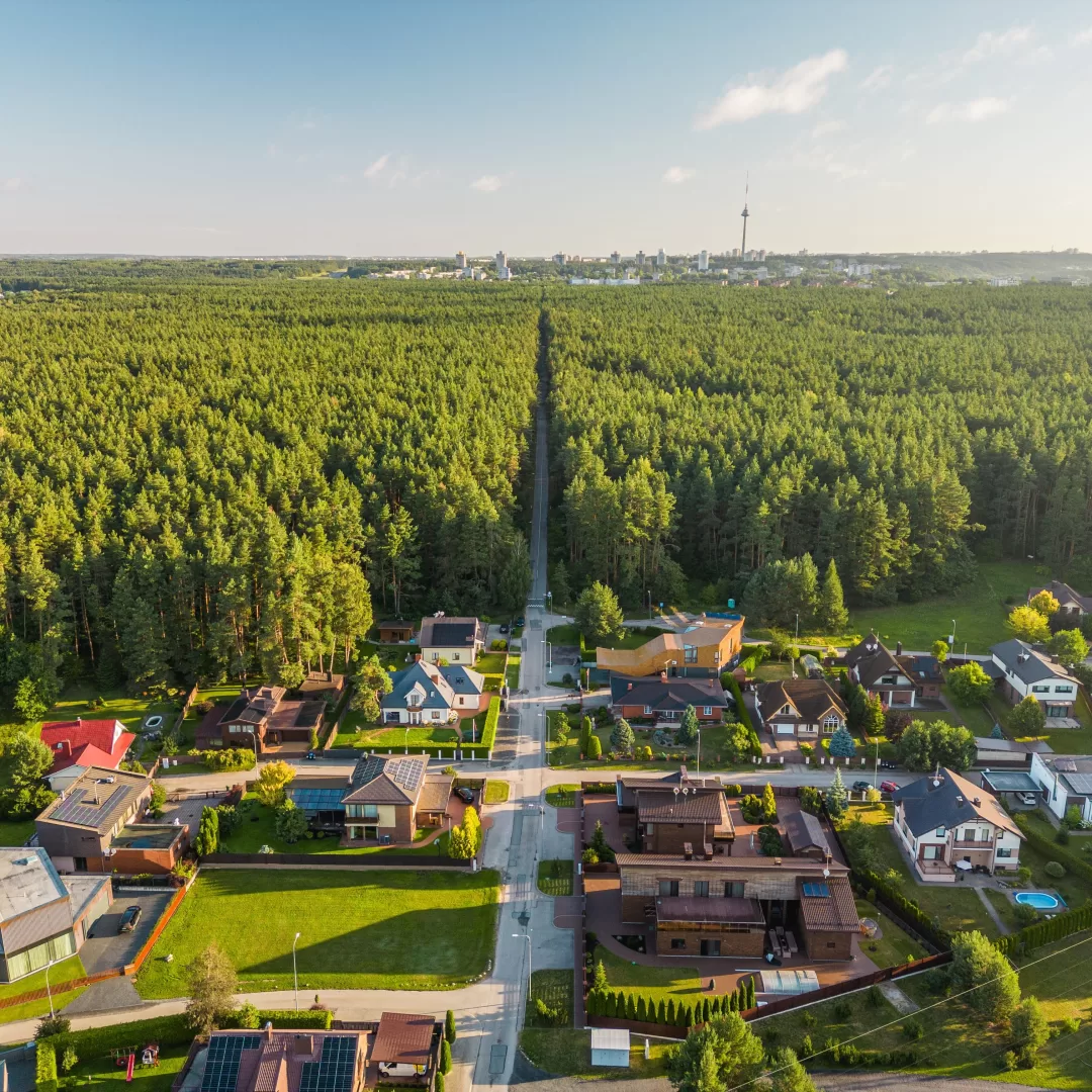 Ar jau buvote čia? Bukčių miško parko takai – pilni atradimų