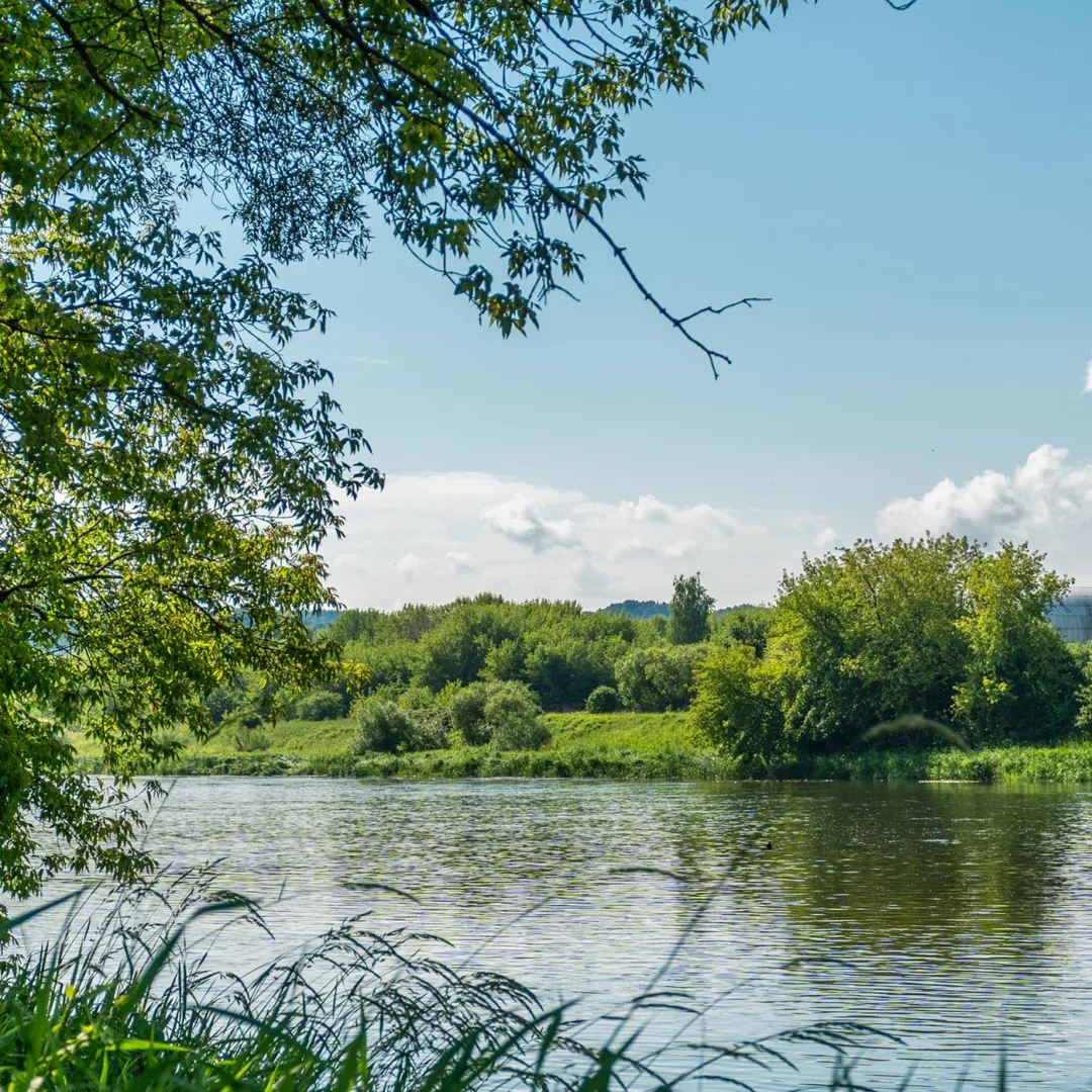 Nepamiršta legenda apie Napoleono lobį