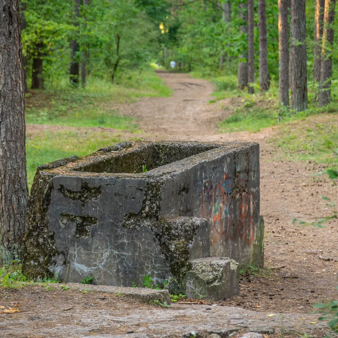 Atraskite įdomias vietoves
